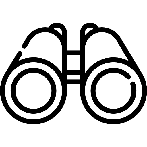 PROTECTION & SURVEILLANCE